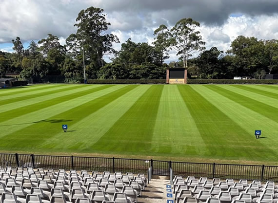 >Ovals ‐ Sports & Schools