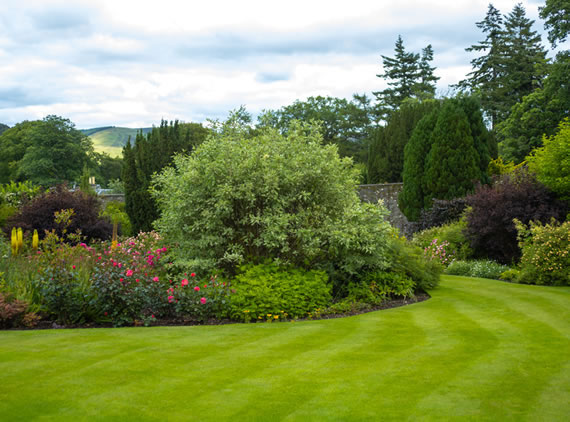 Mineral Magic for the garden