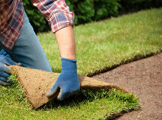 Mineral Magic Lawn Conditioner